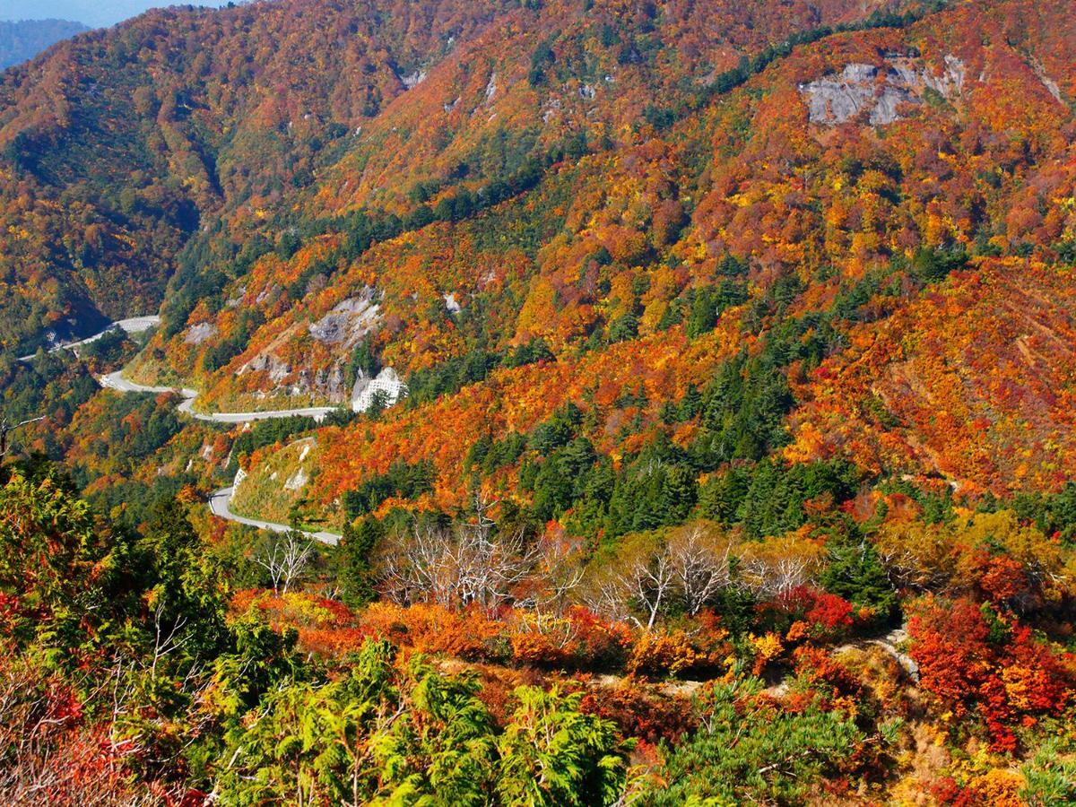 Ichirino Kogen Hotel Roan Hakusan Bagian luar foto